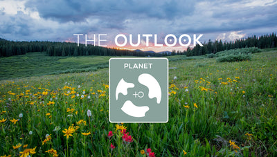 THE OUTLOOK #76
